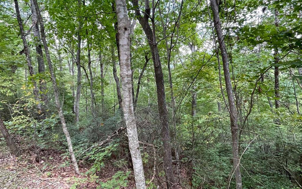 Hayesville, NC 28904,Lot 20 Enchanted Ridge