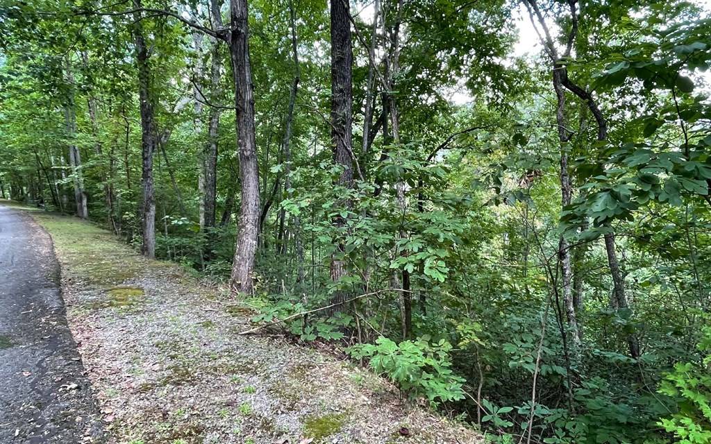 Hayesville, NC 28904,Lot 20 Enchanted Ridge