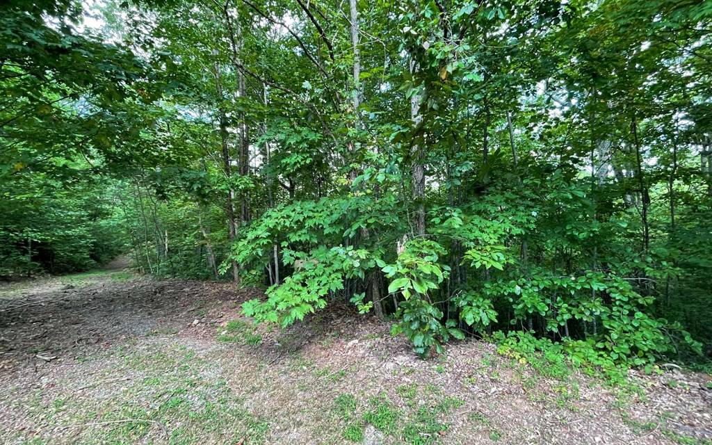 Hayesville, NC 28904,Lot 20 Enchanted Ridge