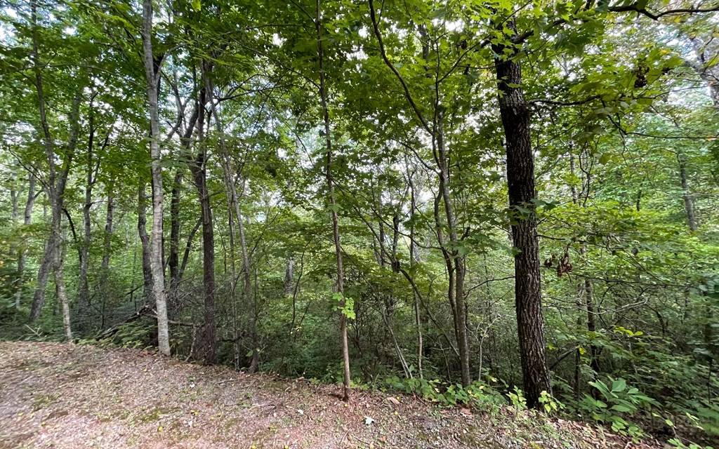 Hayesville, NC 28904,Lot 20 Enchanted Ridge