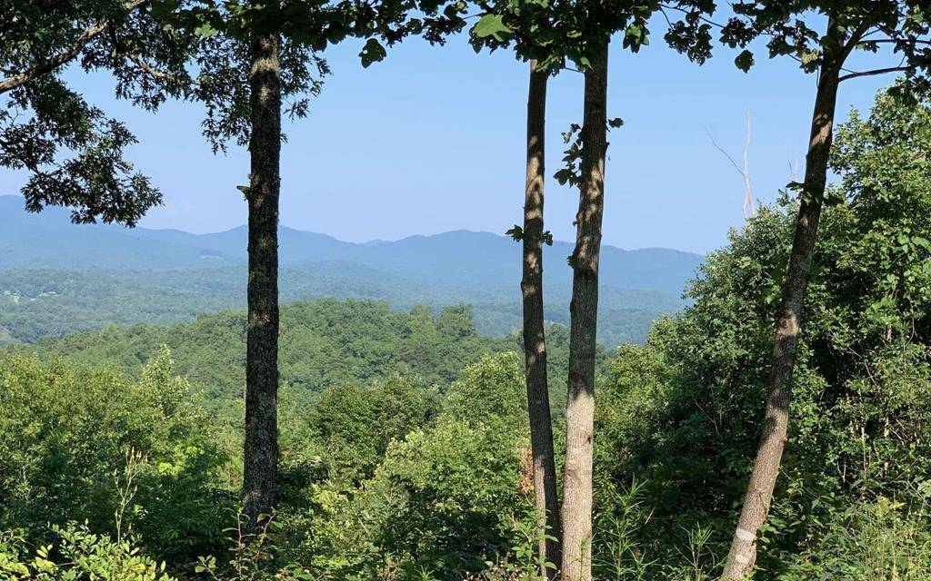 Hayesville, NC 28904,Lot 7 White Oak Drive