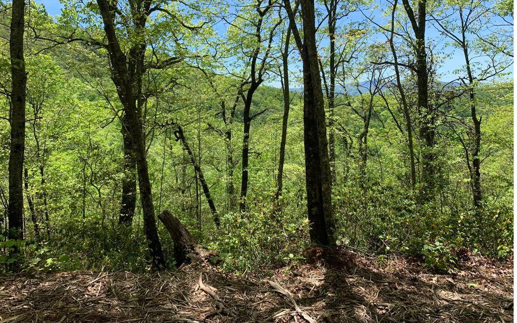 Hayesville, NC 28904,Lot 22B Winchester Cove