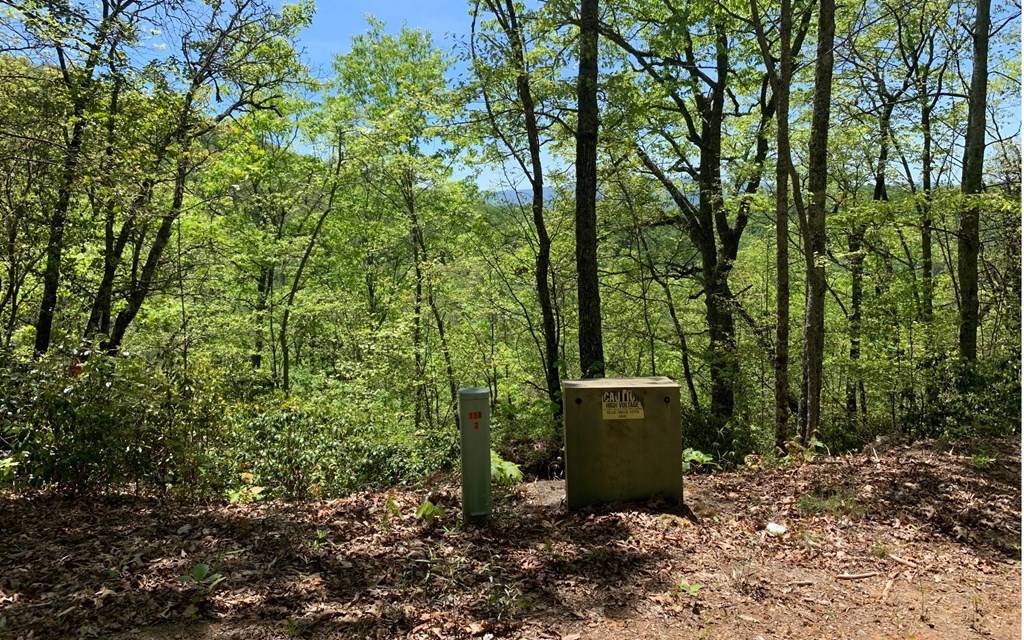 Hayesville, NC 28904,Lot 22B Winchester Cove