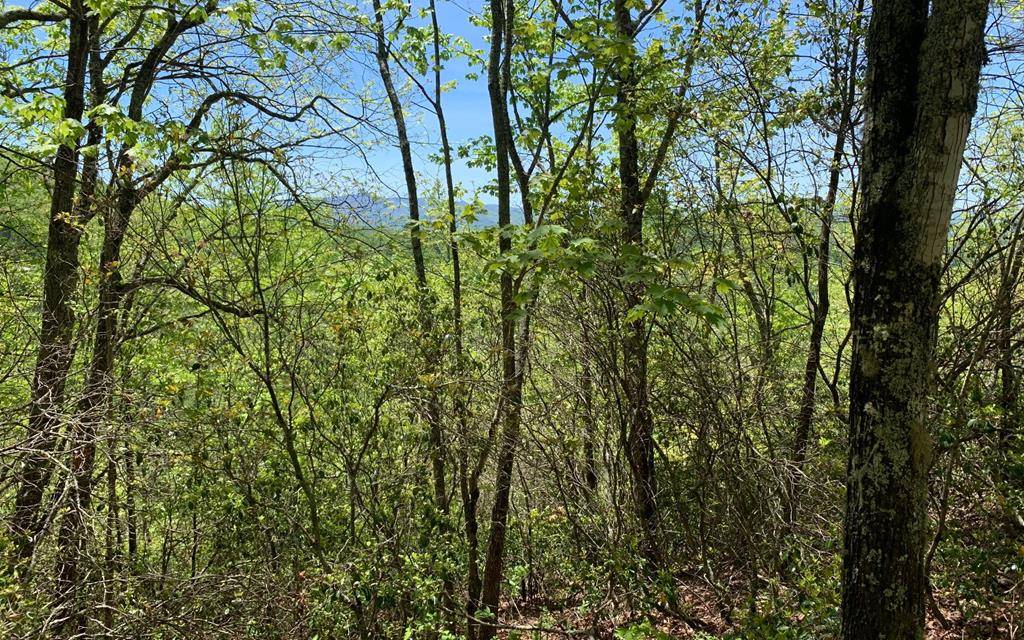 Hayesville, NC 28904,Lot 23A Winchester Cove