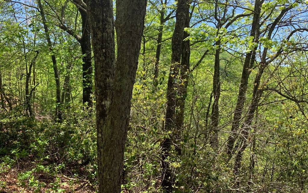 Hayesville, NC 28904,Lot 23A Winchester Cove