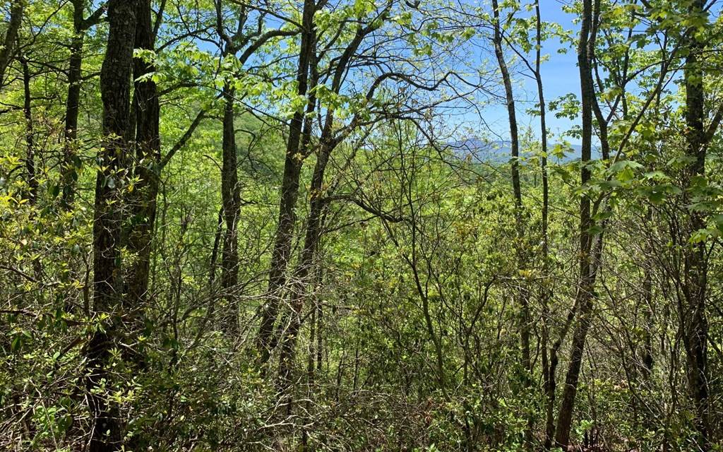 Hayesville, NC 28904,Lot 23A Winchester Cove