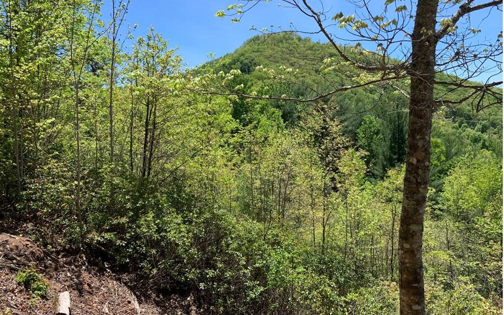 Hayesville, NC 28904,Lot 23B Winchester Cove