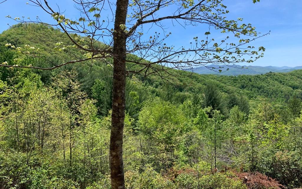 Hayesville, NC 28904,Lot 23B Winchester Cove