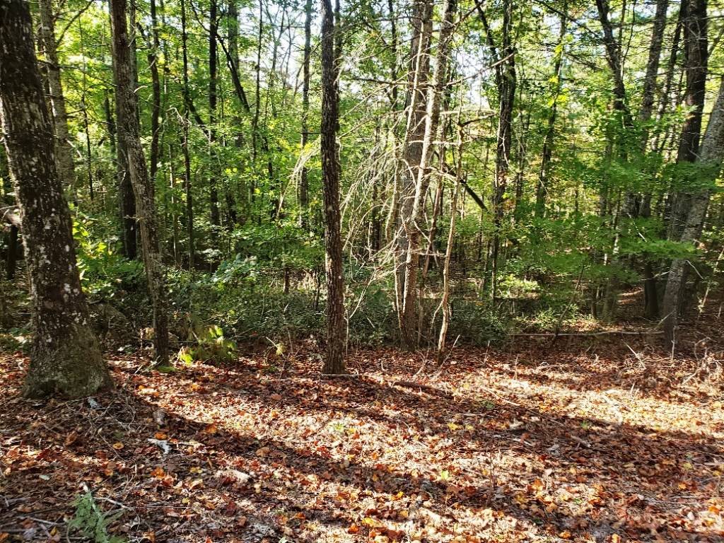 Murphy, NC 28906,2.82 AC Barefoot