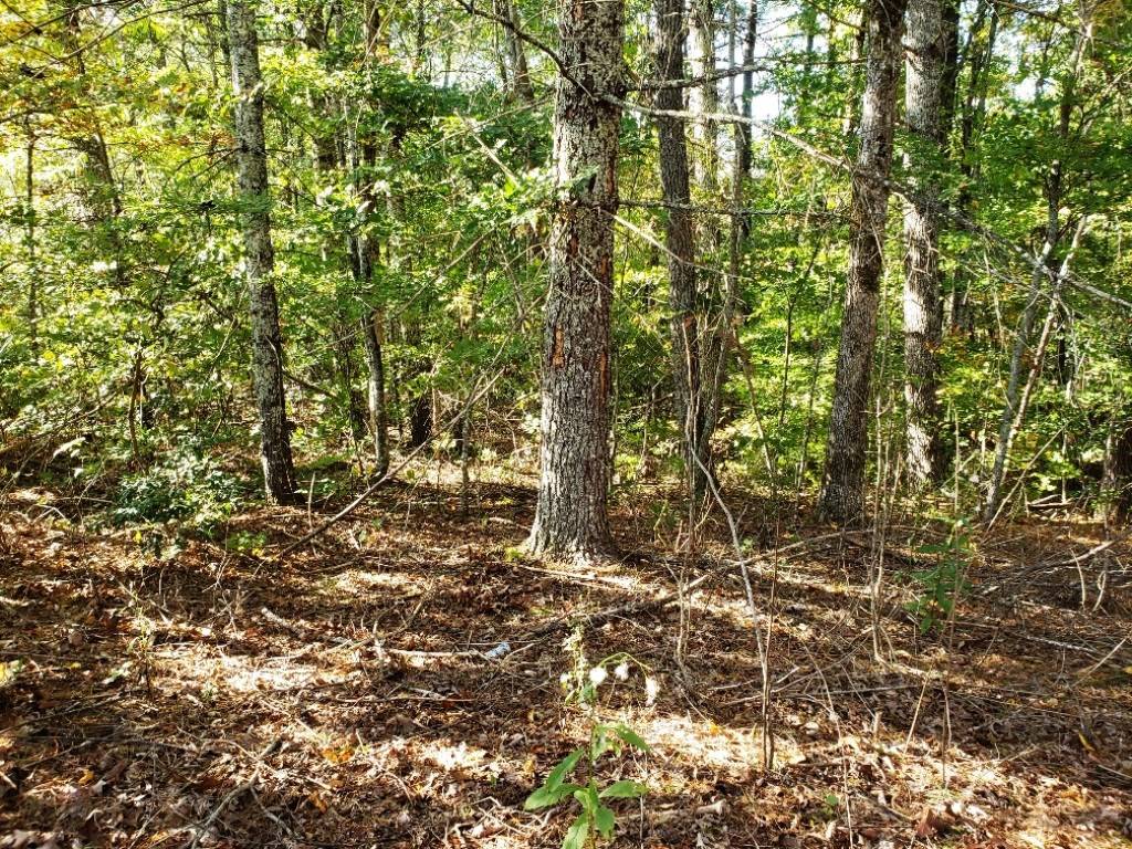 Murphy, NC 28906,2.82 AC Barefoot