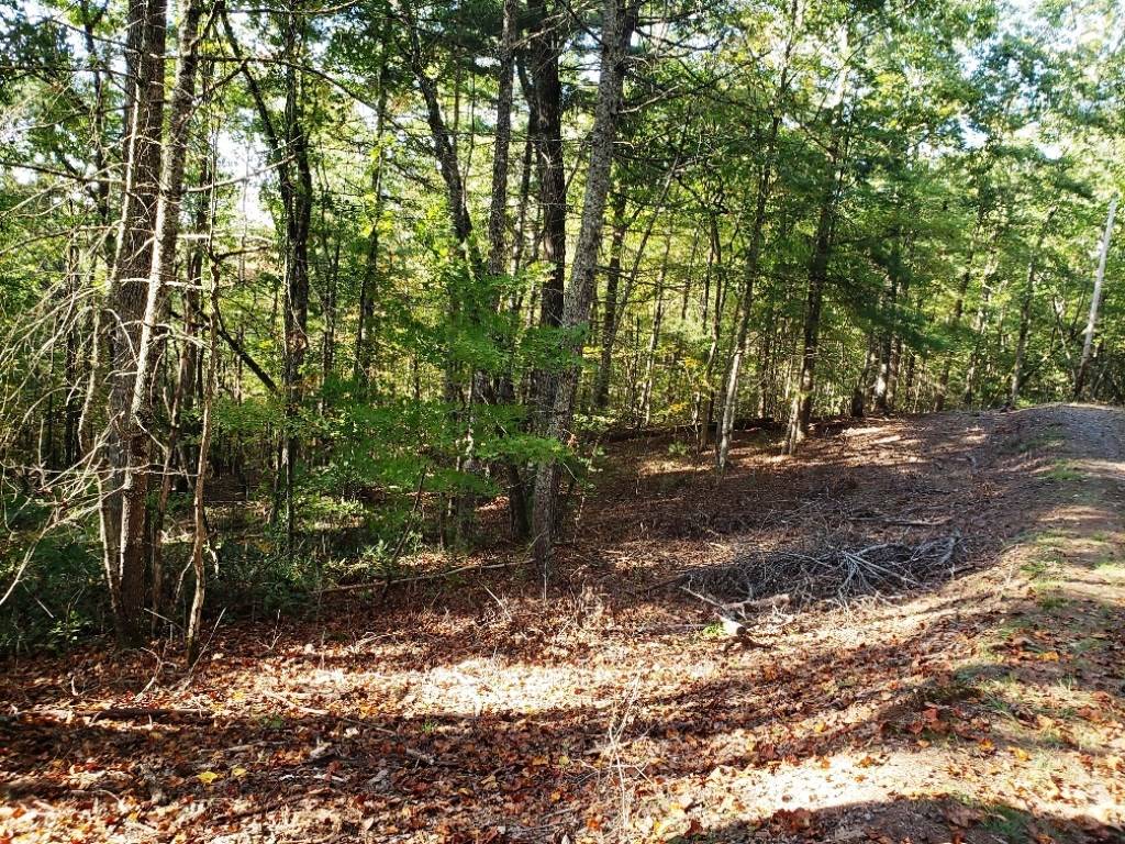 Murphy, NC 28906,2.82 AC Barefoot