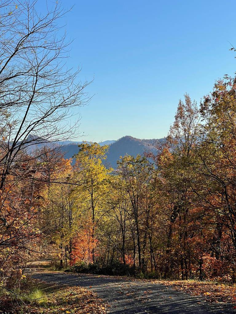 Hayesville, NC 28904,58M Mountain Harbour