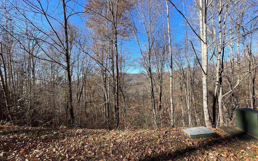 Hayesville, NC 28904,Lot 36M Mountain Harbour