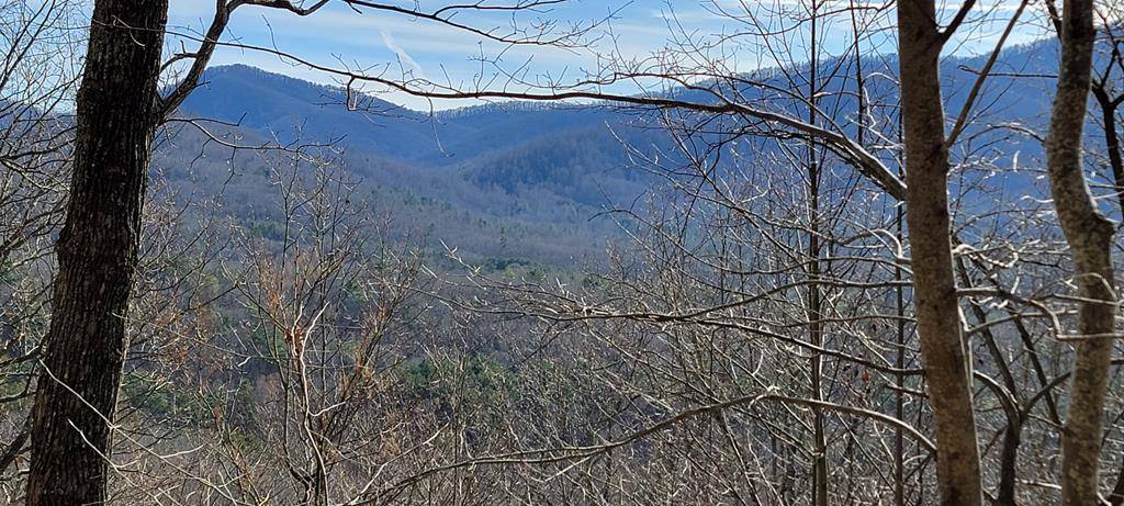 Murphy, NC 28906,Lot 33 Chimney Top Trail