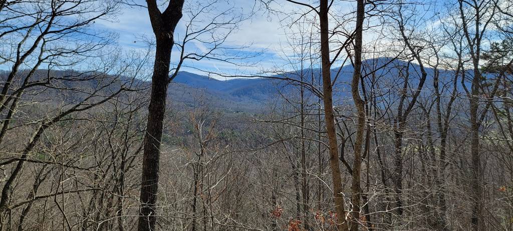 Murphy, NC 28906,Lot 33 Chimney Top Trail