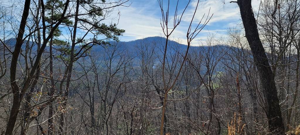 Murphy, NC 28906,Lot 33 Chimney Top Trail