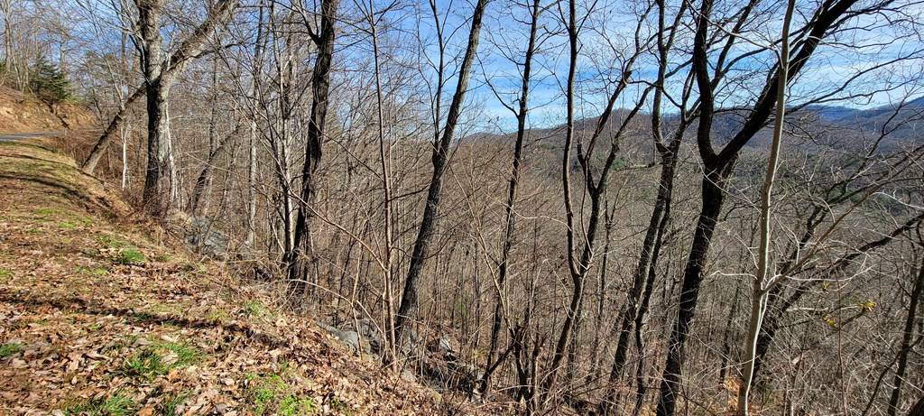 Murphy, NC 28906,Lot 33 Chimney Top Trail