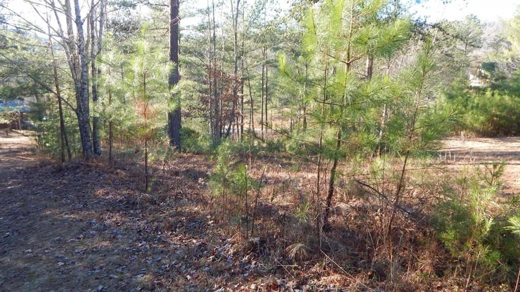 Murphy, NC 28906,0 Walk TRL