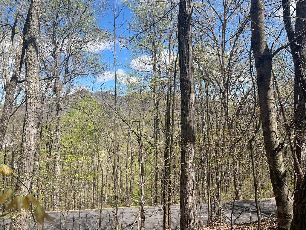 Hayesville, NC 28904,Lot 31A Mountain Harbour Drive