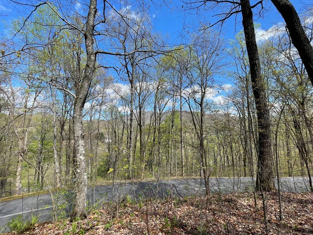 Hayesville, NC 28904,Lot 31A Mountain Harbour Drive