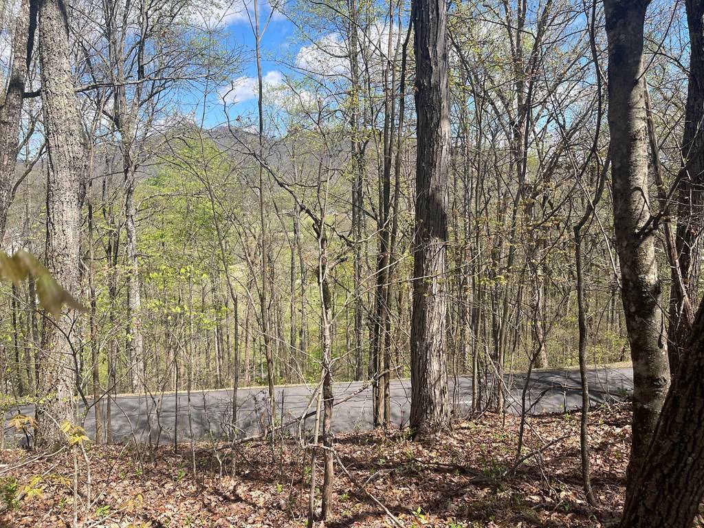 Hayesville, NC 28904,Lot 31A Mountain Harbour Drive