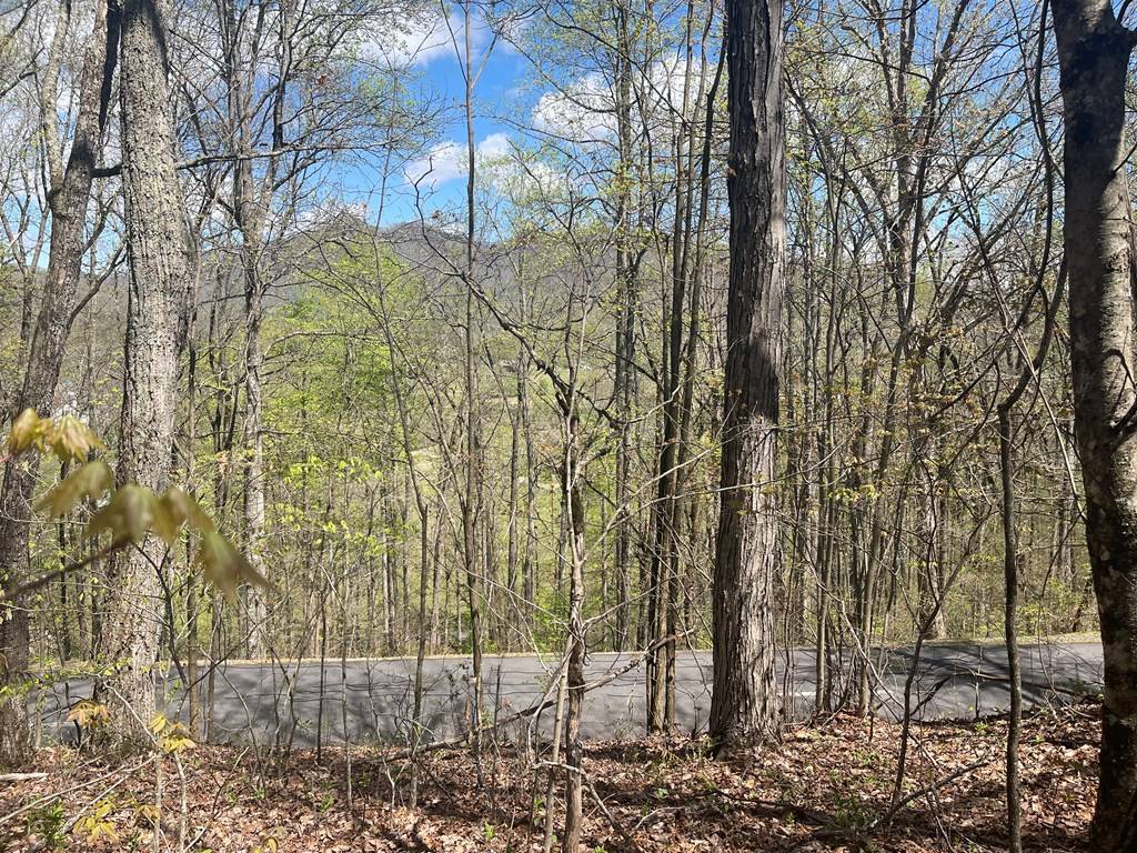 Hayesville, NC 28904,Lot 31A Mountain Harbour Drive