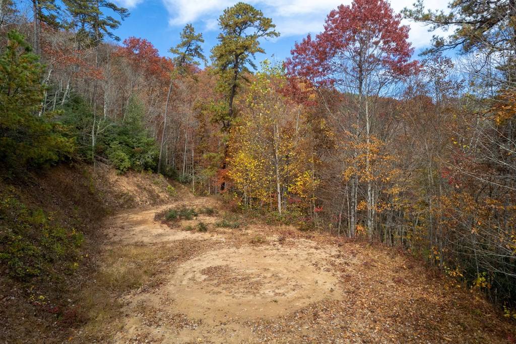 Almond, NC 28702,Lot1 Wolf Creek Heights