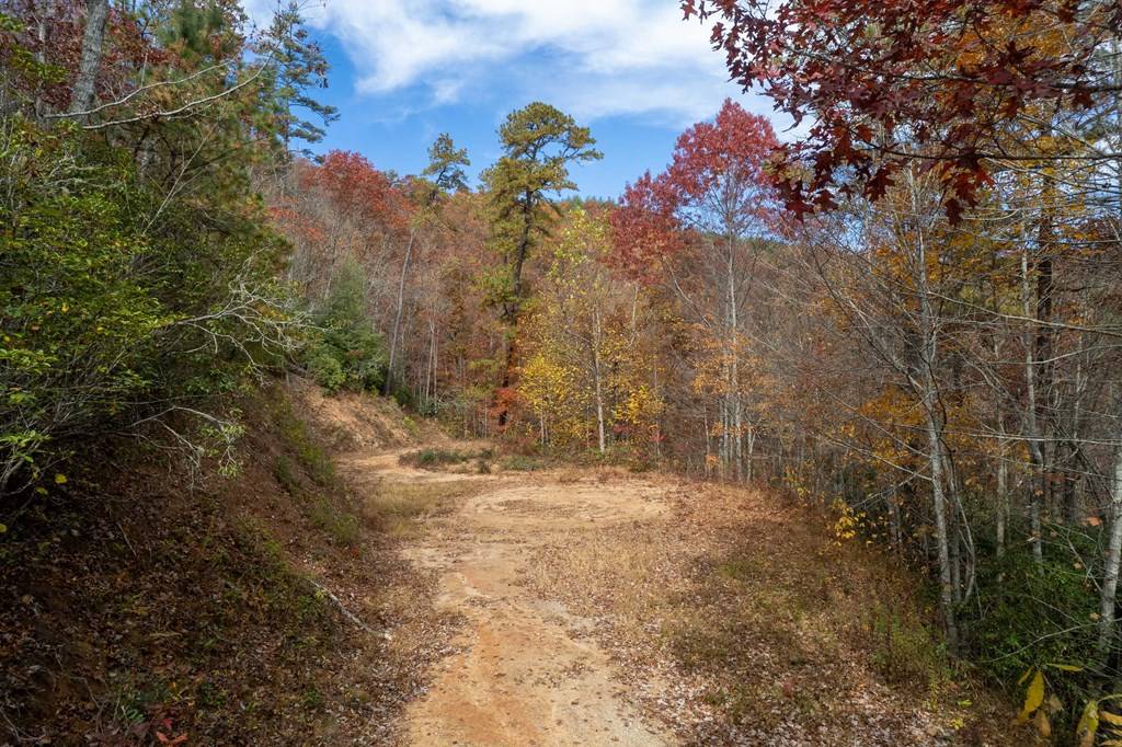 Almond, NC 28702,Lot1 Wolf Creek Heights