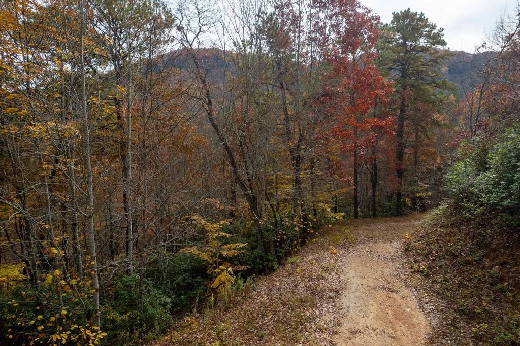 Almond, NC 28702,Lot1 Wolf Creek Heights