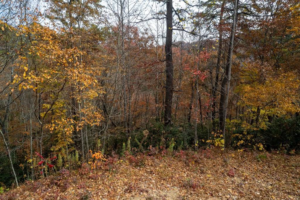 Almond, NC 28702,Lot1 Wolf Creek Heights