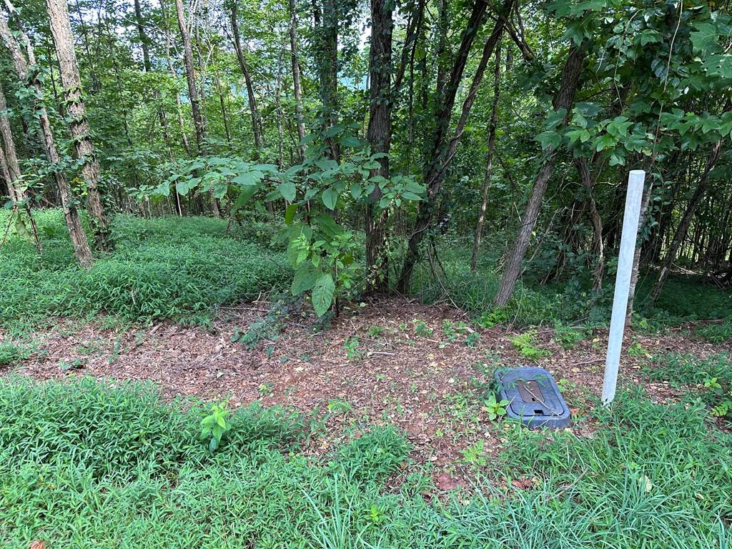 Murphy, NC 28906,Lot 46 Deerwood Mountain Estates