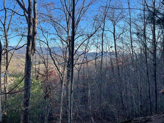 Hayesville, NC 28904,55C-58C Indian Trail