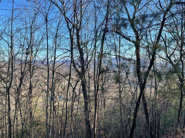 Hayesville, NC 28904,55C-58C Indian Trail