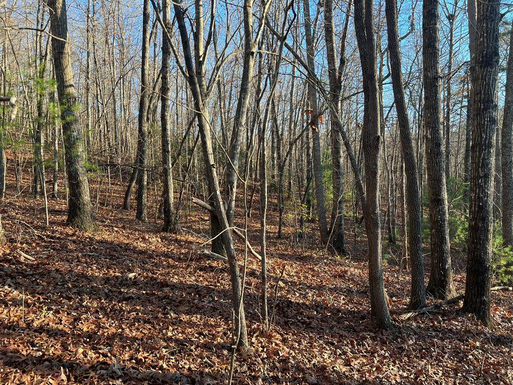 Hayesville, NC 28904,Lot 54 Penlands Indian Trl