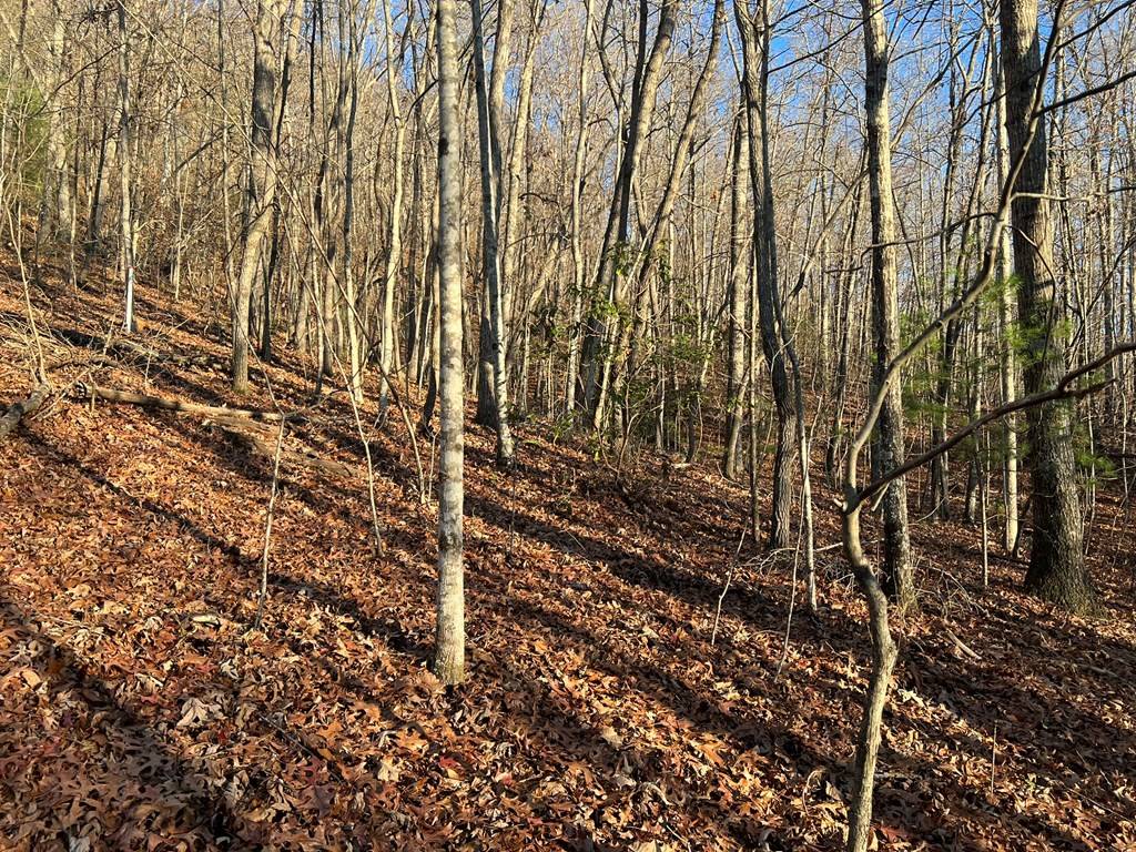 Hayesville, NC 28904,Lot 54 Penlands Indian Trl