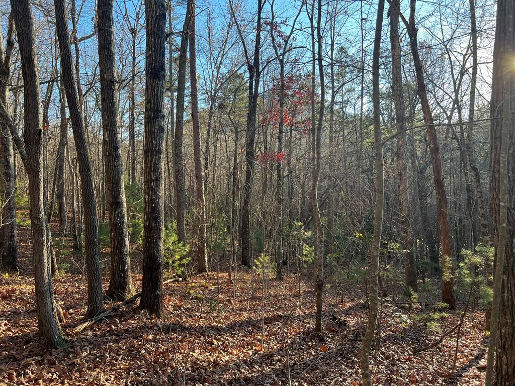 Hayesville, NC 28904,Lot 54 Penlands Indian Trl