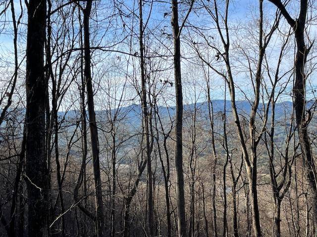 Murphy, NC 28906,Lot 73 Hidden Treasure Estate