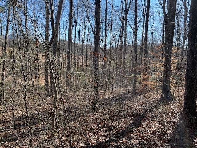 Hayesville, NC 28904,Lot 2E The Woodlands