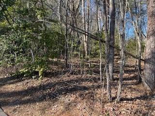 Hayesville, NC 28904,Lot 2E The Woodlands