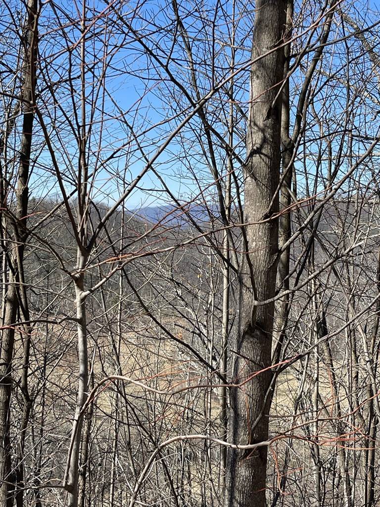 Hayesville, NC 28904,Lot 29J Ash Branch Rd,