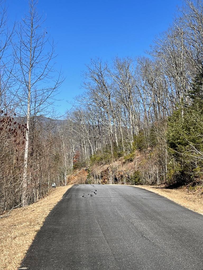 Hayesville, NC 28904,Lot 29J Ash Branch Rd,