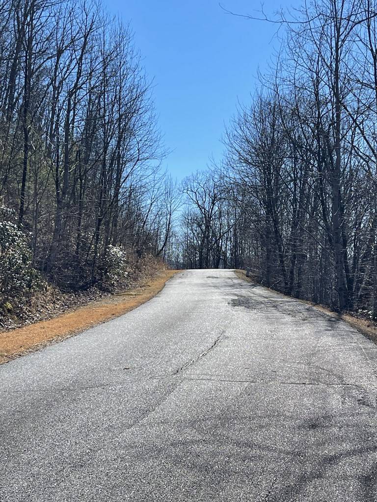 Hayesville, NC 28904,Lot 29J Ash Branch Rd,