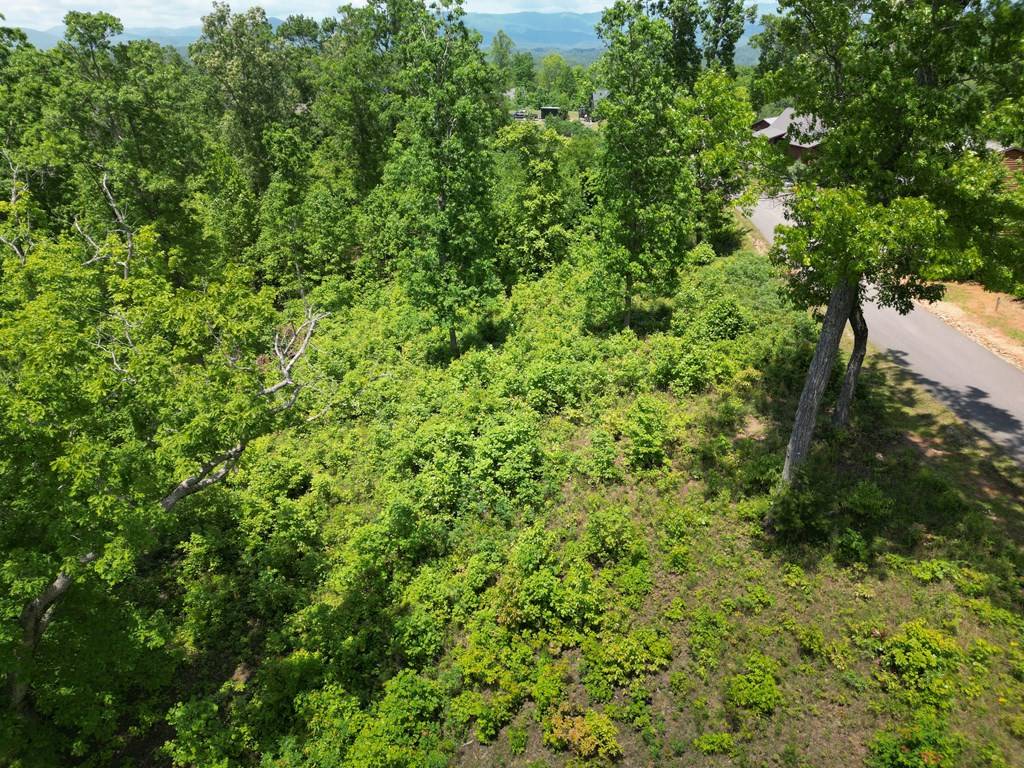 Murphy, NC 28906,Lot 29 Paw Paw Trail