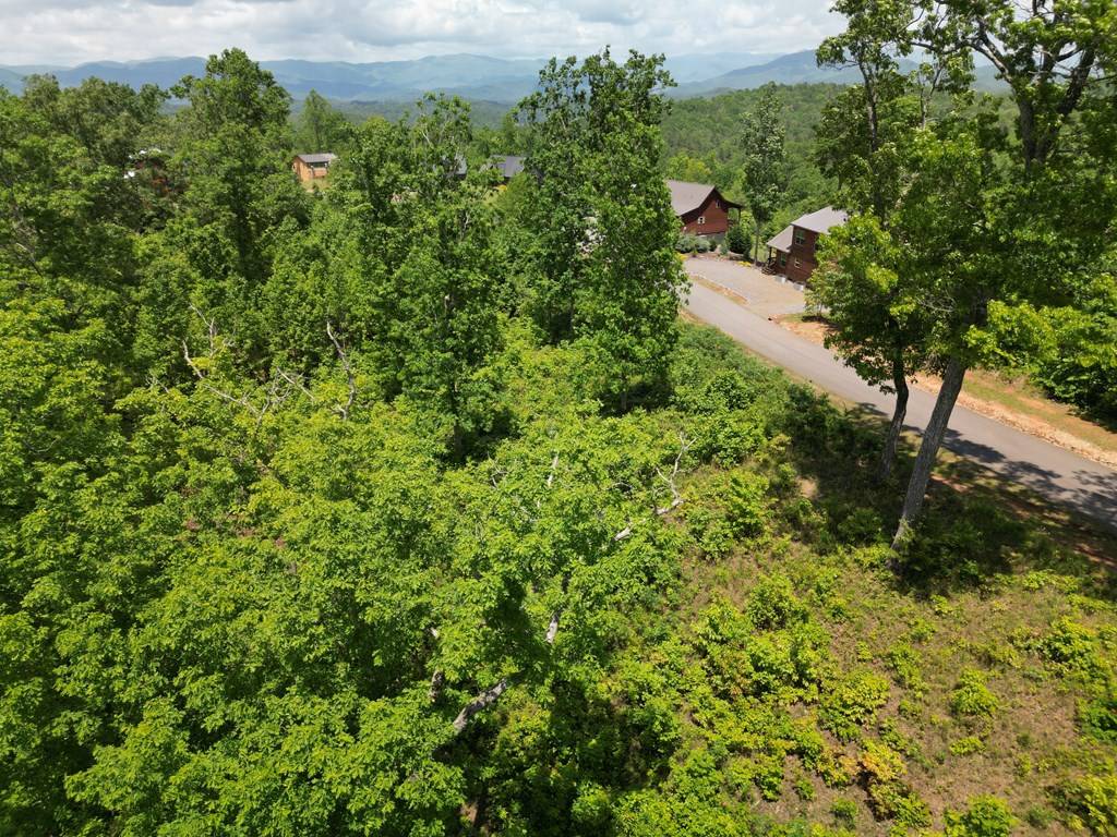 Murphy, NC 28906,Lot 29 Paw Paw Trail