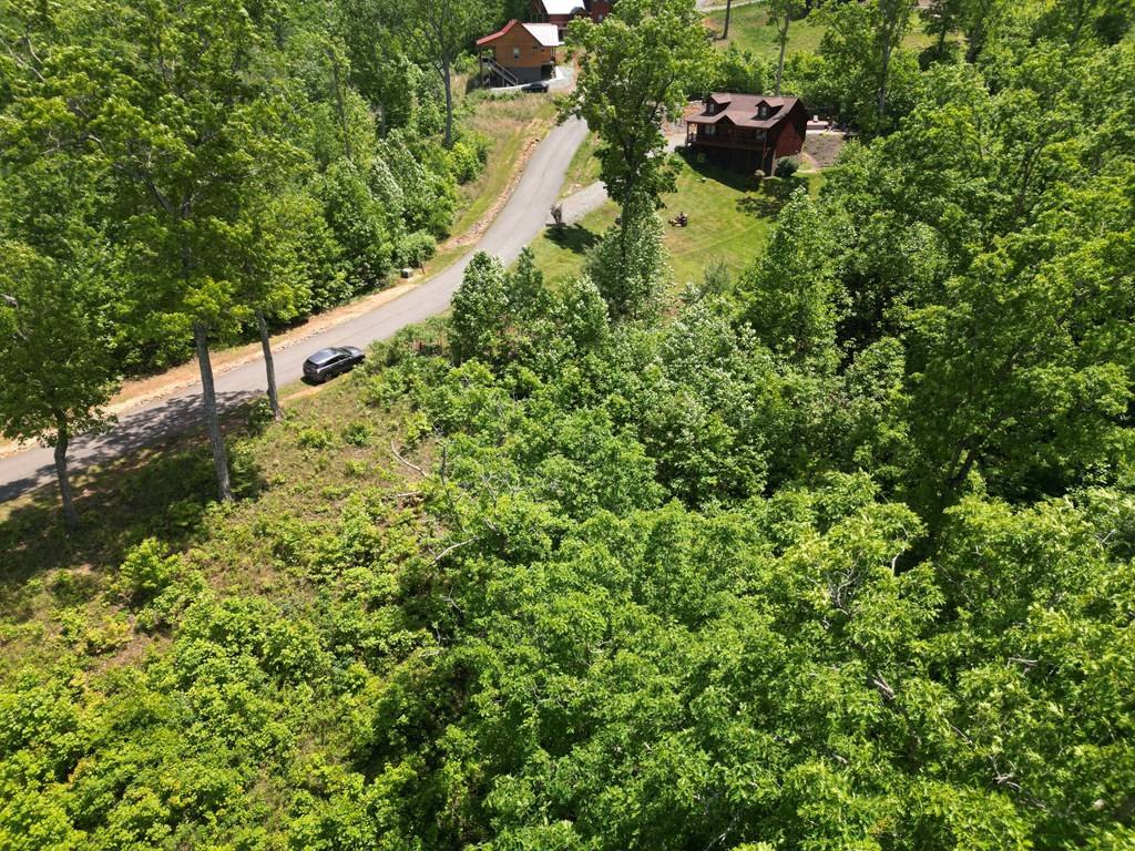 Murphy, NC 28906,Lot 29 Paw Paw Trail