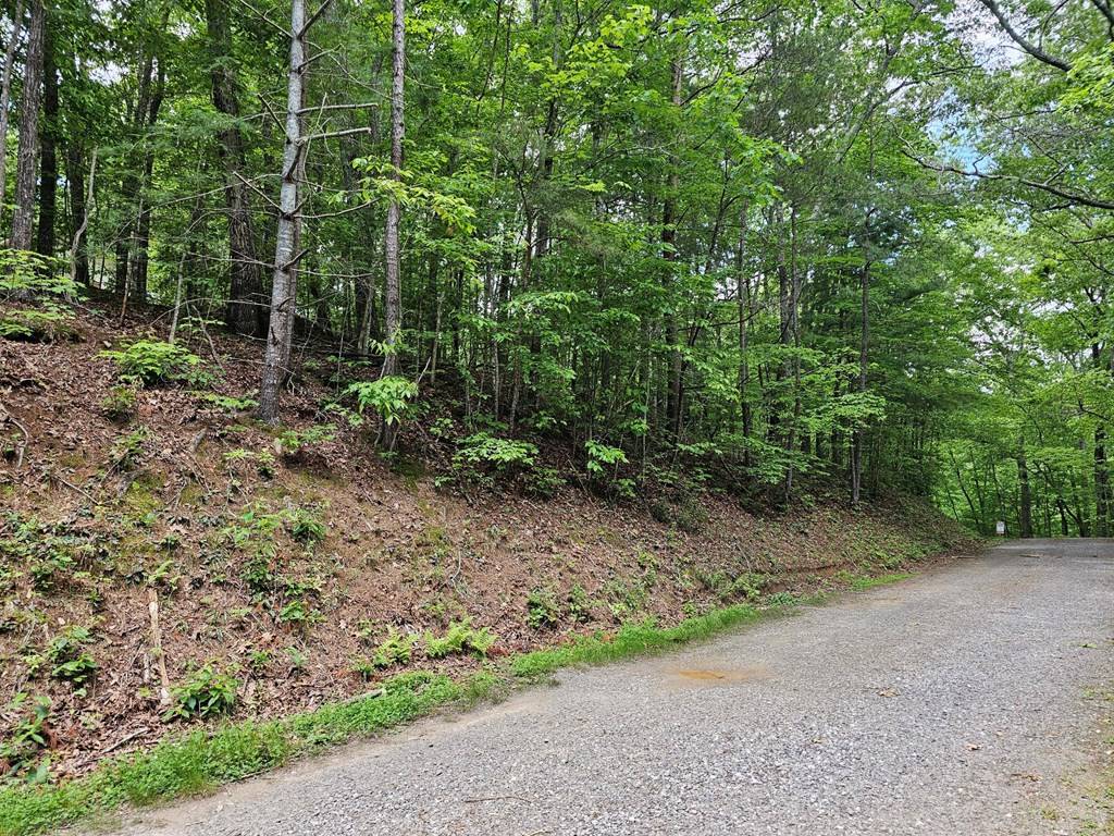 Murphy, NC 28906,7 Whispering Pines