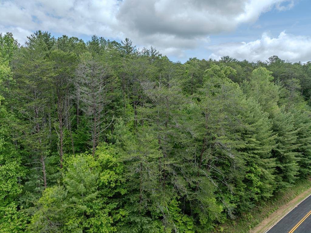 Murphy, NC 28906,3.2 Acre Prince Rd