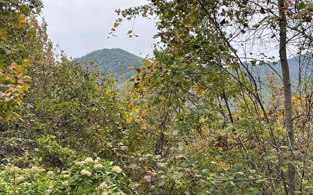 Hayesville, NC 28904,Lot 27A Trillium Heights