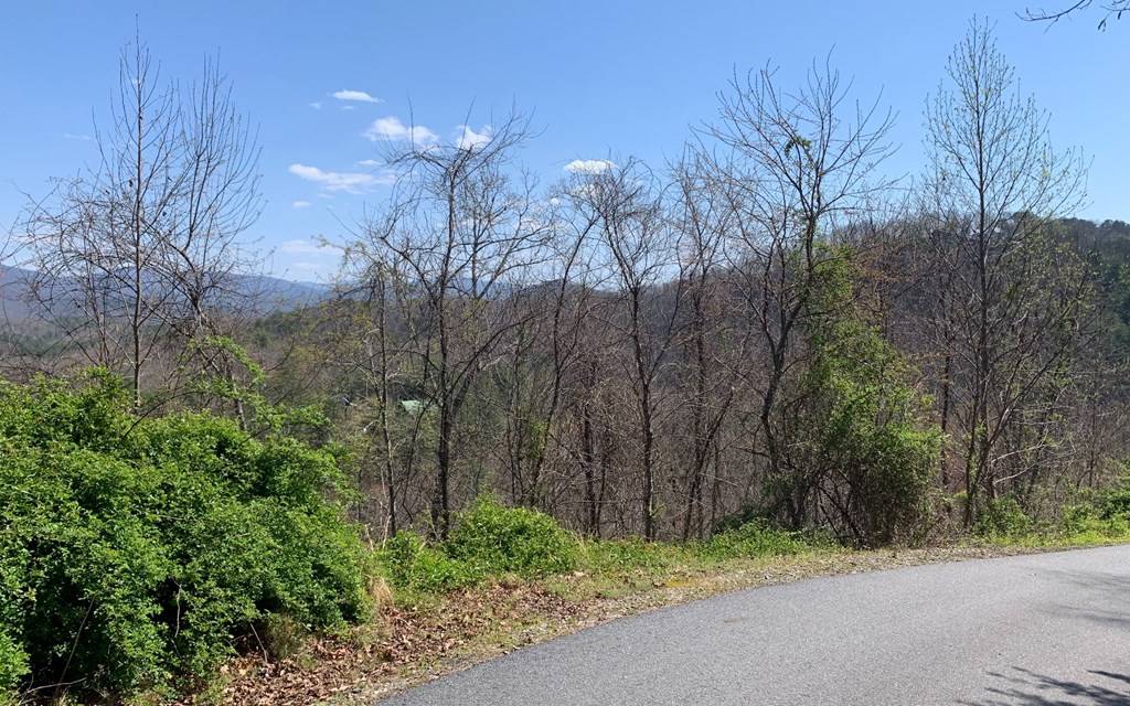 Hayesville, NC 28904,Lot 27A Trillium Heights