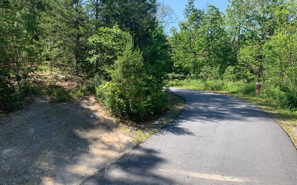 Hayesville, NC 28904,Lot 4A Trillium Heights